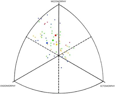 Body morphology and handgrip strength parameters of the female canoe slalom paddlers